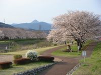 �����褤�κ�