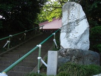 ʲ