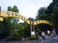 by 