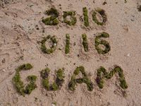 򽦤ä¤٤Ƥߤޤ