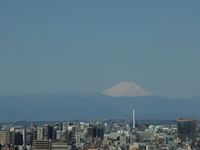 ǽ餷ٻλ